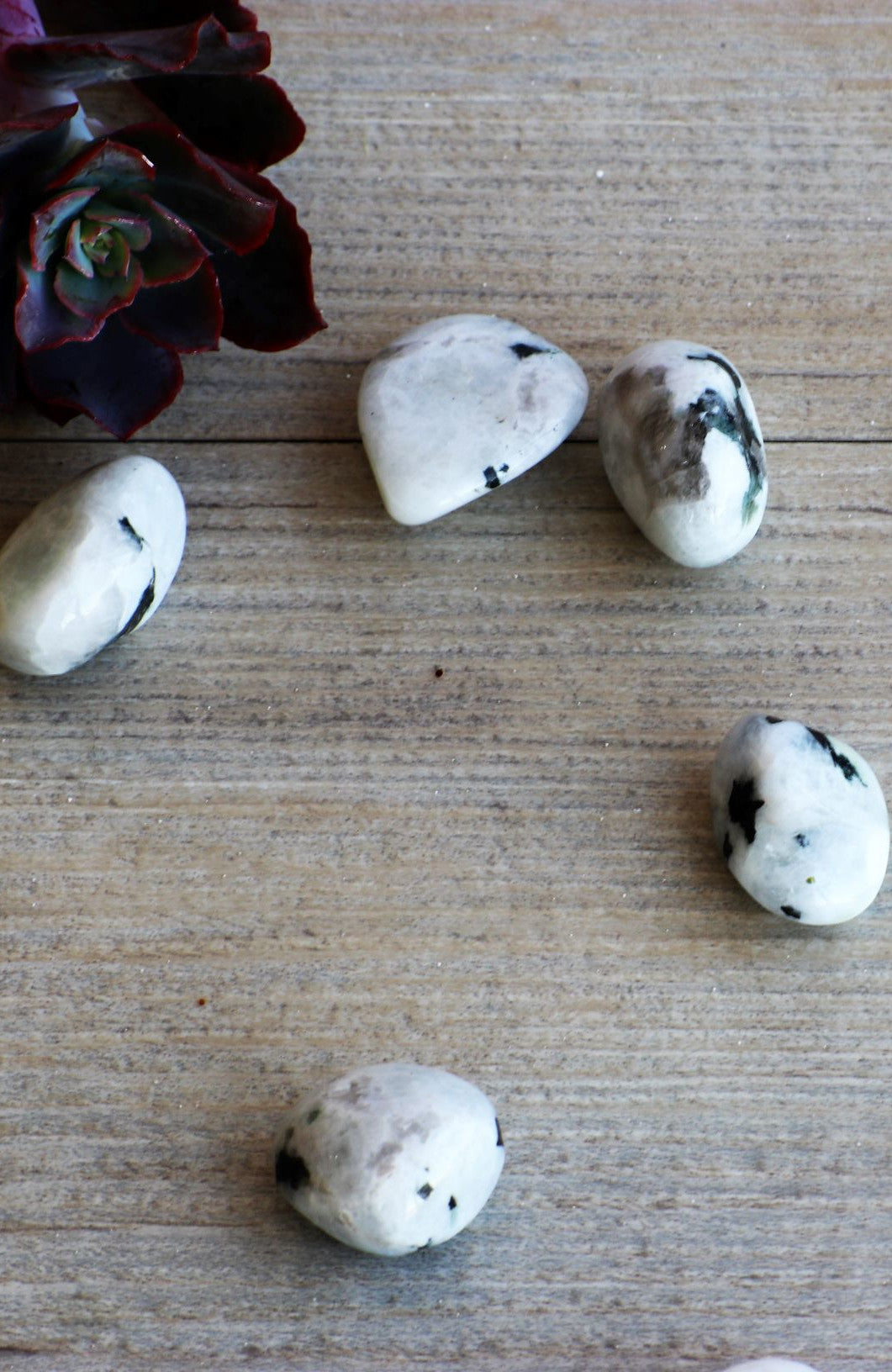 Rainbow Moonstone AA Tumbled Stone